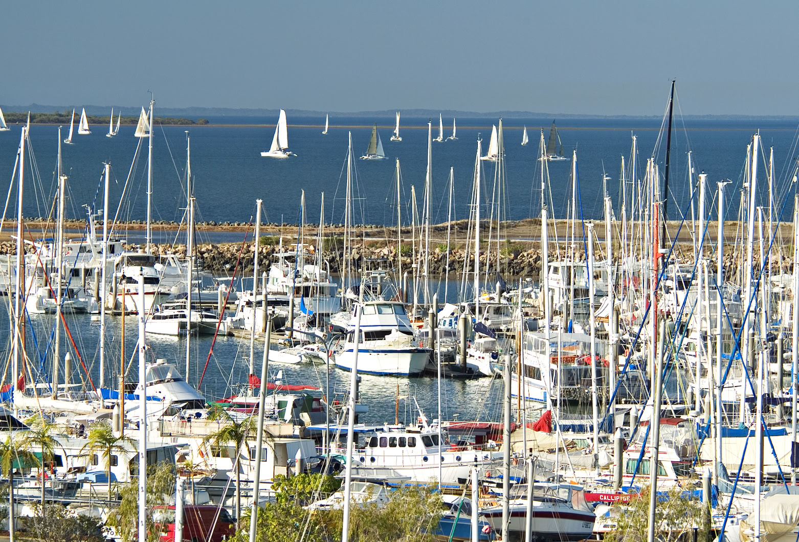 Yachts at Manly Boat Harbour, Brisbane